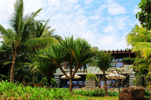 派橘新派果味火锅杯