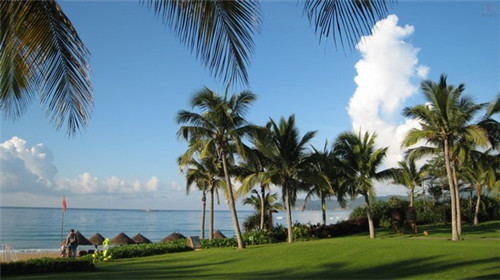 森林野兽花园火锅