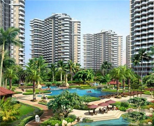 阿婉捞汁小海鲜