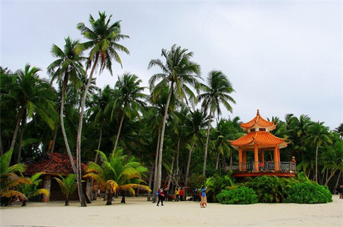 烹品五味啫啫锅