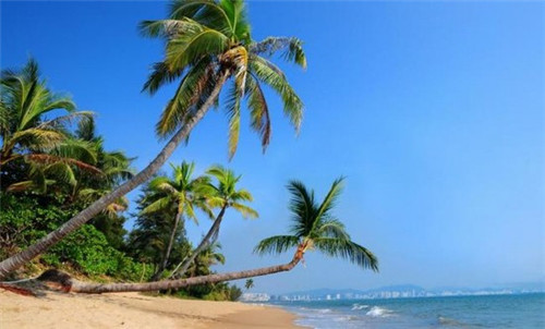 在奶茶店打工需要健康证吗，奶茶店打工需要什么证明