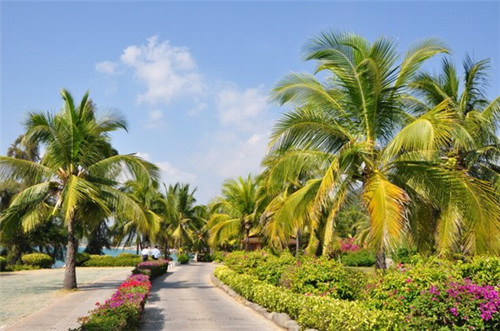 瞎啃瞎啃烤鸡架加盟开店资金不够应该怎么办