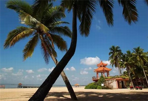 深圳南站哪里好玩（深圳南站火车站在哪里）