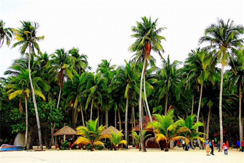 物业在元旦节应做什么（物业元旦上班嘛）